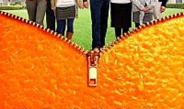 אורנג'ס תרגום מובנה The Oranges לצפייה ישירה