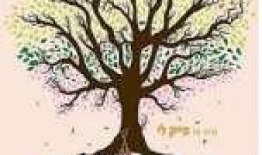 עוד שנה תרגום מובנה