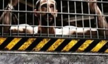 הניסוי תרגום מובנה – The Experiment