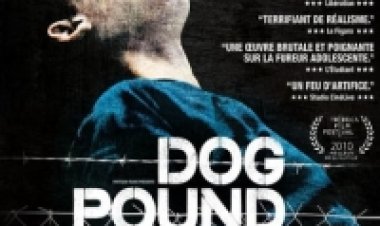 מכלאת כלבים תרגום מובנה לצפייה ישירה