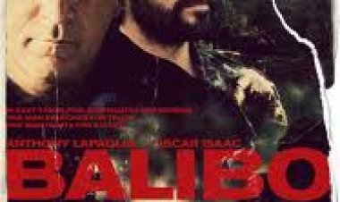 בליבו תרגום מובנה לצפייה ישירה