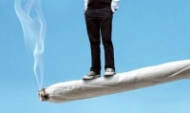 מחוז המבולט תרגום מובנה לצפייה ישירה | Humboldt County