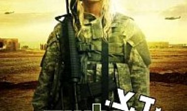 ד.צ הוליווד תרגום מובנה לצפייה ישירה