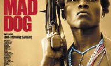 ג'וני כלב שוטה תרגום מובנה לצפייה ישירה