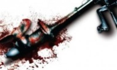 חבטת חמור (2008) תרגום מובנה לצפייה ישירה