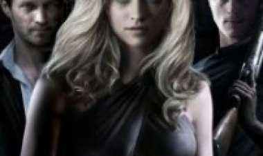 ריסון תרגום מובנה לצפייה ישירה