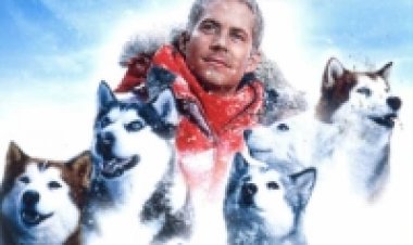 8 מתחת לאפס תרגום מובנה לצפייה ישירה