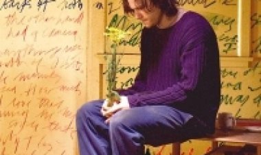 קנדי תרגום מובנה לצפייה ישירה