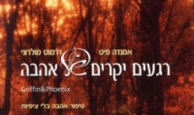 רגעים יקרים של אהבה תרגום מובנה לצפייה ישירה | Griffin And Phoenix