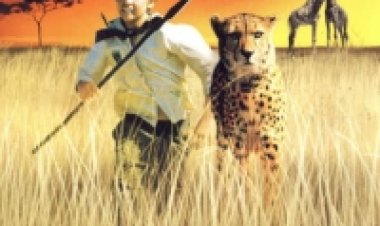 דומה (2005) תרגום מובנה לצפייה ישירה