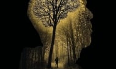 הדרך של מאטי לצפייה ישירה עם תרגום מובנה | Journeyman