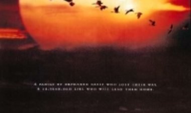 לעוף כל הדרך הביתה תרגום מובנה Fly Away Home לצפייה ישירה