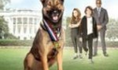 מקס 2 : גיבור הבית הלבן לצפייה ישירה מתורגם / Max 2: White House Hero לצפייה ישירה