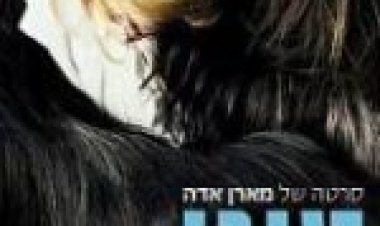 טוני ארדמן תרגום מובנה לצפייה ישירה / Toni Erdmann לצפייה ישירה