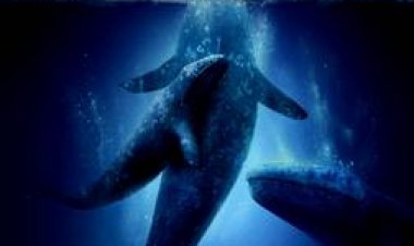 נס גדול תרגום מובנה לצפייה ישירה