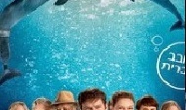 סיפורו של דולפין 2 (2014) תרגום מובנה מדובב לצפייה ישירה