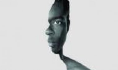 נייטינגייל תרגום מובנה לצפייה ישירה | Nightingale