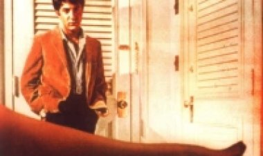 הבוגר תרגום מובנה לצפייה ישירה