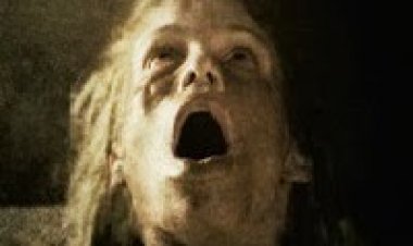 הנשאים תרגום מובנה לצפייה ישירה