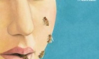 המופלאים תרגום מובנה | The Wonders Le meraviglie