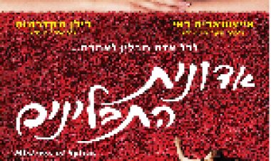 אדונית התבלינים תרגום מובנה לצפייה ישירה