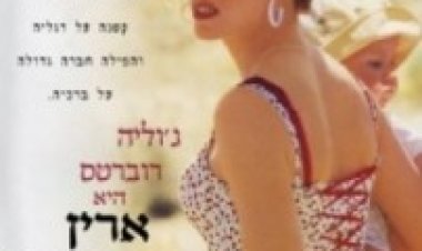 ארין ברוקוביץ תרגום מובנה לצפייה ישירה | Erin Brockovich