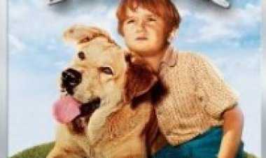 ילר הזקן תרגום מובנה