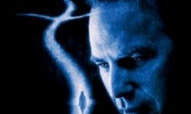 דרגונפליי תרגום מובנה לצפייה ישירה