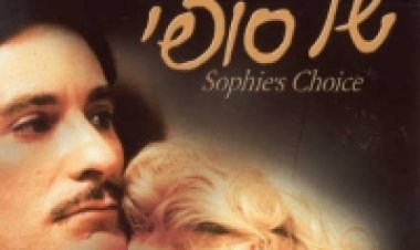 בחירתה של סופי תרגום מובנה לצפייה ישירה