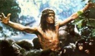 גרייסטוק תרגום מובנה לצפייה ישירה