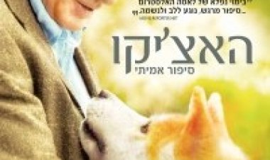האציקו לצפייה ישירה | Hachiko – A Dog Story