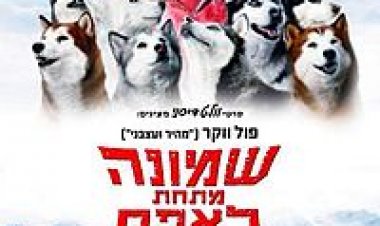 צפייה ישירה מתחת לאפס 8 | Eight Below