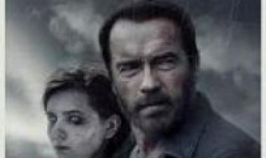 מגי תרגום מובנה לצפייה ישירה | Maggie