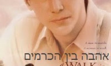 אהבה בין הכרמים תרגום מובנה לצפייה ישירה | A Walk In The Clouds