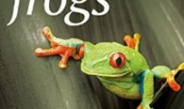 צפרדעים מופלאות תרגום מובנה לצפייה ישירה | Nature Fabulous Frogs