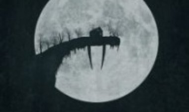 ניבים תרגום מובנה לצפייה ישירה | Tusk