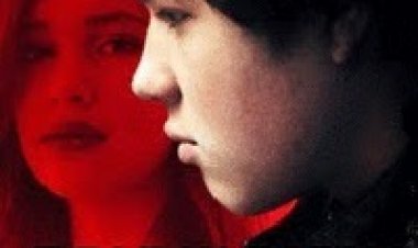 ציפור שחורה *תרגום מובנה* להורדה ולצפייה ישירה / Blackbird 2013 – DVDRip