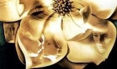 מגנוליה *תרגום מובנה* להורדה ולצפייה ישירה / Magnolia 1999 – DVDRip