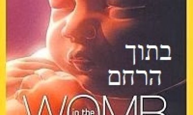 בתוך הרחם *תרגום מובנה* להורדה ולצפייה ישירה / Life Before Birth 2005 – DVDRip