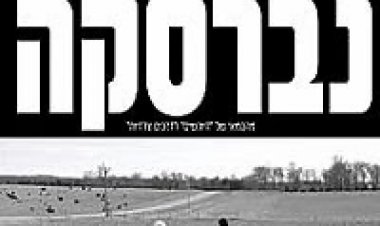 נברסקה *תרגום מובנה* להורדה ולצפייה ישירה / Nebraska 2013 – DVDSCR