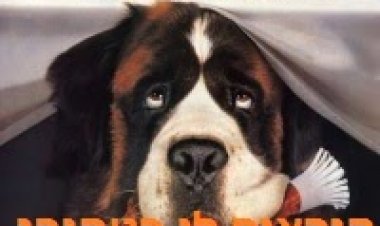 קוראים לי בטהובן *תרגום מובנה * להורדה ולצפייה ישירה / Beethoven 1992 – DVDRip