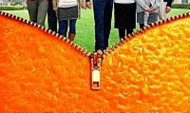 אורנג'ס *תרגום מובנה* להורדה ולצפייה ישירה / The Oranges.2011 – 720p