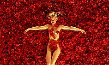 אמריקן ביוטי תרגום מובנה לצפייה ישירה | American Beauty