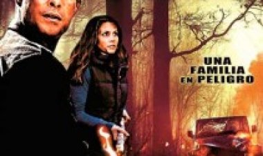 איזור תאונה תרגום מובנה לצפייה ישירה | Crash Site