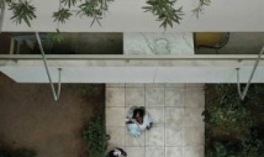 מיס אלימות / Miss Violence לצפייה ישירה