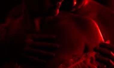 דיאטת הסקס תרגום מובנה לצפייה ישירה | Diet of Sex