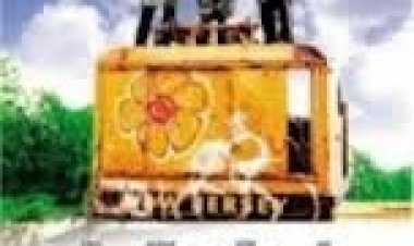 גרדן סטייט לצפייה ישירה