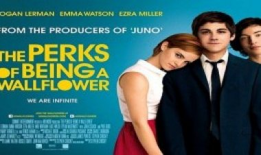 כמה טוב להיות פרח קיר תרגום מובנה לצפייה ישירה