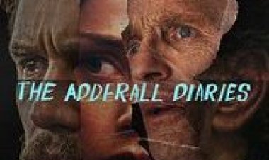 יומני הסם אדראל תרגום מובנה The Adderall Diaries לצפייה ישירה