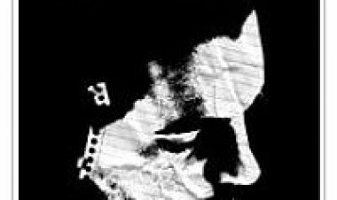 ג'יימס ווייט תרגום מובנה James White לצפייה ישירה